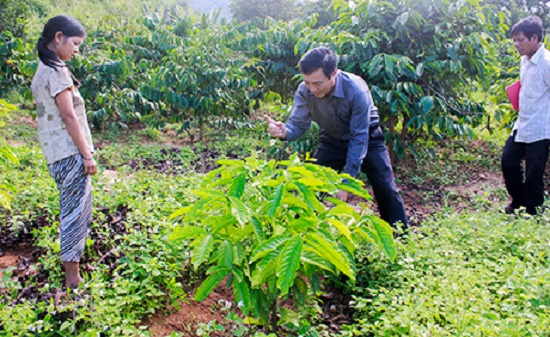 Nông dân sau 10 năm thực hiện Nghị quyết TW 7 khóa X tỉnh Kon Tum